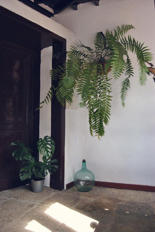 Casa Rural El Palmar Вайермосо Екстериор снимка